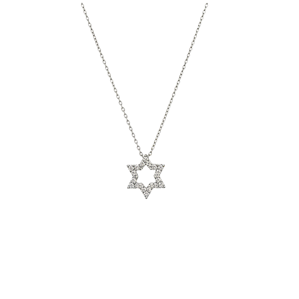 14K Gold Diamond Star of David Necklace